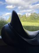 Selle de dressage Bates Isabell Werth en cuir noir, tai