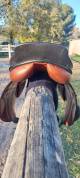 Selle stubben 
