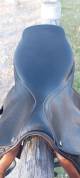 Selle stubben 