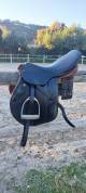 Selle stubben 
