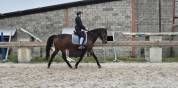  SELLE DRESSAGE MAKILA LAB E - 2018 - 18"