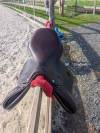Selles equipe grand prix 