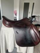 Selle forestier 
