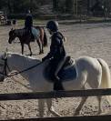 Tapis kentucky 