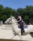 Tapis kentucky 
