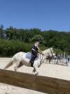 Tapis kentucky 
