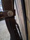 Bridon Forestier marron, avec muserolle anatomique