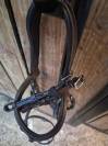 Bridon Forestier marron, avec muserolle anatomique