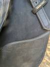 Selle Wintec Isabelle werth