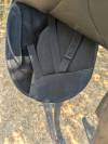 Selle Wintec Isabelle werth