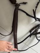 Filet Marron Time Rider