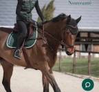 Collier de chasse 3 points Devoucoux neuf M