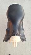Selle Antares Alta&iuml;r
