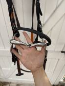 Vends filet pur-sang avec mors simple