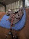 Selle Lucyfer Platinium 
