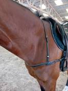 Collier de chasse