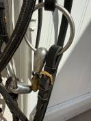 Bridon pour petit cheval 