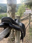 Selle CWD