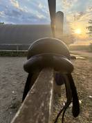 SELLE DRESSAGE &Eacute;RIC THOMAS 17"