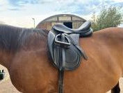 SELLE DRESSAGE &Eacute;RIC THOMAS 17"