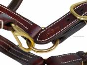 Cabezada de Cuadra Triple Stitch Halter Lazypony 