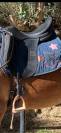 Selle de dressage childeric 18 2019 
