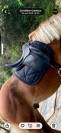 Selle de dressage childeric 18 2019 