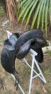 County dressage