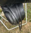 County dressage