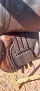 Selle Rodrigo Pessoa d'occasion