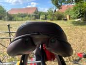 Selle &eacute;quipe Expression 17,5" - cuir - quartiers