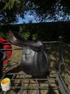 Selle &eacute;quipe Expression 17,5" - cuir - quartiers