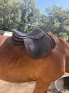 Selle mixte CHILDERIC