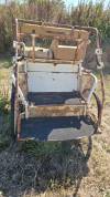 Voiture d'attelage petit marathon