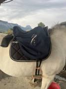 Selle de dressage Antares 
