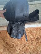 Thorowgood pony 