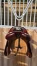 CWD 2Gs Mademoiselle 2023
