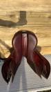 CWD 2Gs Mademoiselle 2023