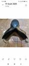 selle dressage cuir 