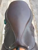 Selle Forestier Seoul 
