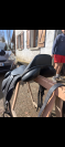 Selle Premier &Eacute;quine 