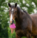 Jouet de box Cornet de glace - QHP