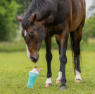 Jouet de box Milkshake &ndash; QHP