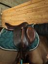 Selle Eric thomas kevin 17, 5 