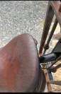 Selle et accessoires Antares Altair 15,5p mono quartier