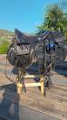 Prestige Appaloosa Sella da trekking completo