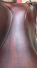 Selle gbs 