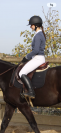 Selle gbs 