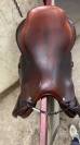 Selle gbs 