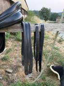 Sella mista Bates Mixte  17.5" - 2013